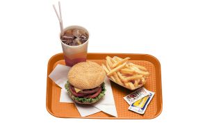Orange Fast Food Tray 410x300mm