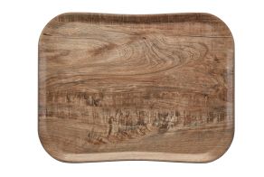 Light Olive Versa Century Textured Clear Tray 330x430mm