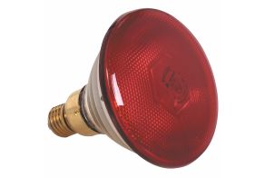 Red Bulb