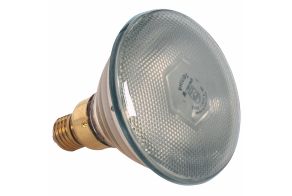 White Bulb