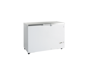 FR405S SL Ice Cream Freezer, Solid Lids