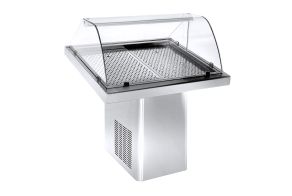 REFRIGERATED FISH DISPLAY 1.0