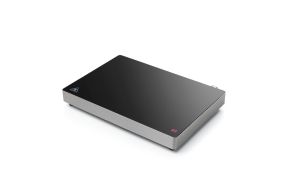 Induction Buffet Plate